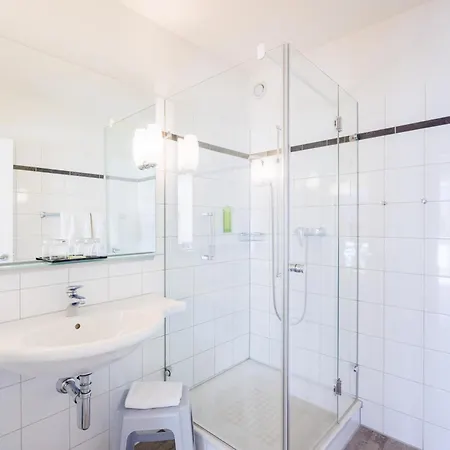 هابيماج فيرينفونونجن 4* إنترلاكن