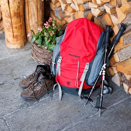 هابيماج فيرينفونونجن إنترلاكن